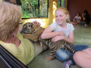 Cuddling Tigers, Tiger Kingdom Chiang Mai Tiger Kigdom, Chiang Mai