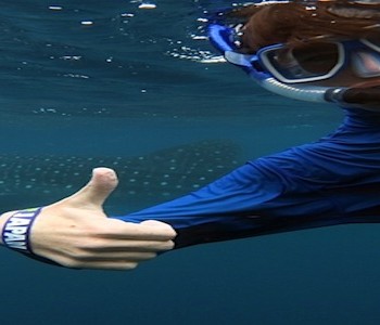 Austin and a whale shark, Ningaloo Reef, Australia